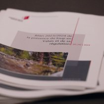 53510798859_81e796d288_o